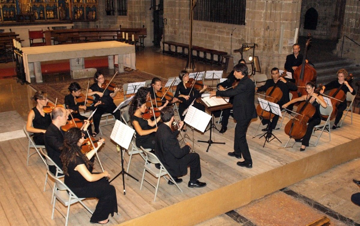 L'Orquestra de Cambra de Tortosa, en plena actuació, en una imatge d'arxiu.