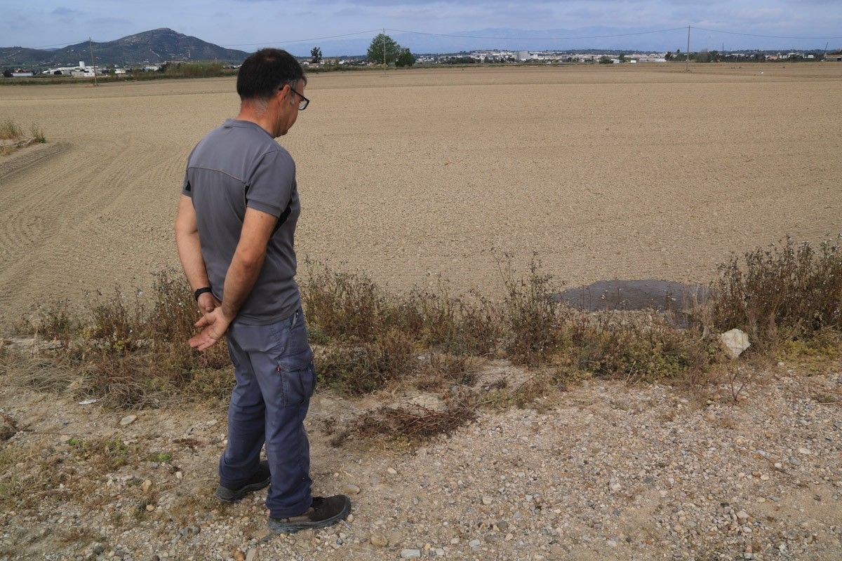 En Manel, un arrossaire de la Dreta de l'Ebre, observa com s'inicia la inundació de la seva finca en una campanya en què comptarà amb la meitat de l'aigua  