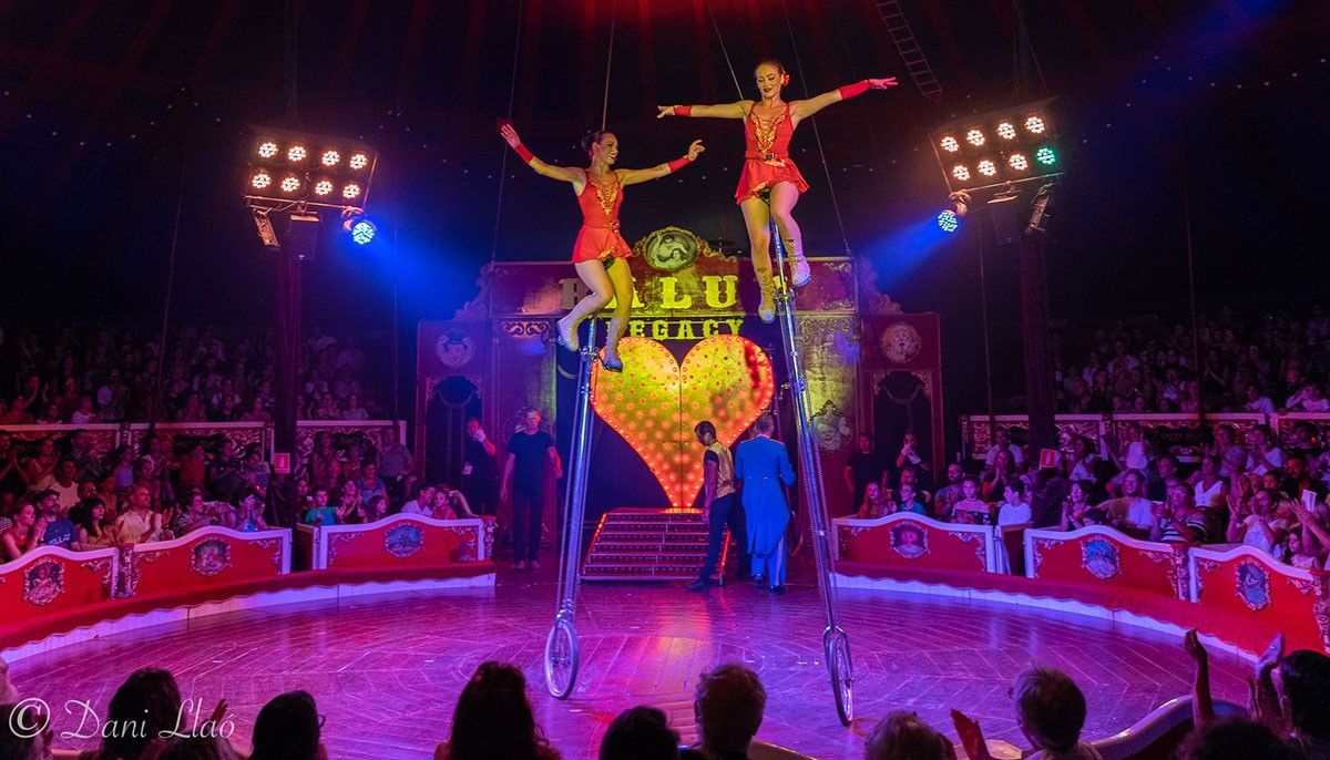 Monocicle, màgia, humor o transformisme, algunes de les propostes de l'espectacle del circ.