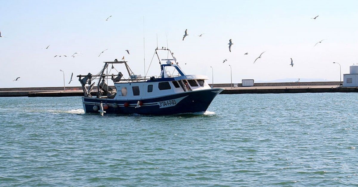La flota pesquera de la Ràpita es queda a port este divendres per la caiguda de preus i les mesures de protecció contra el  Covid-19