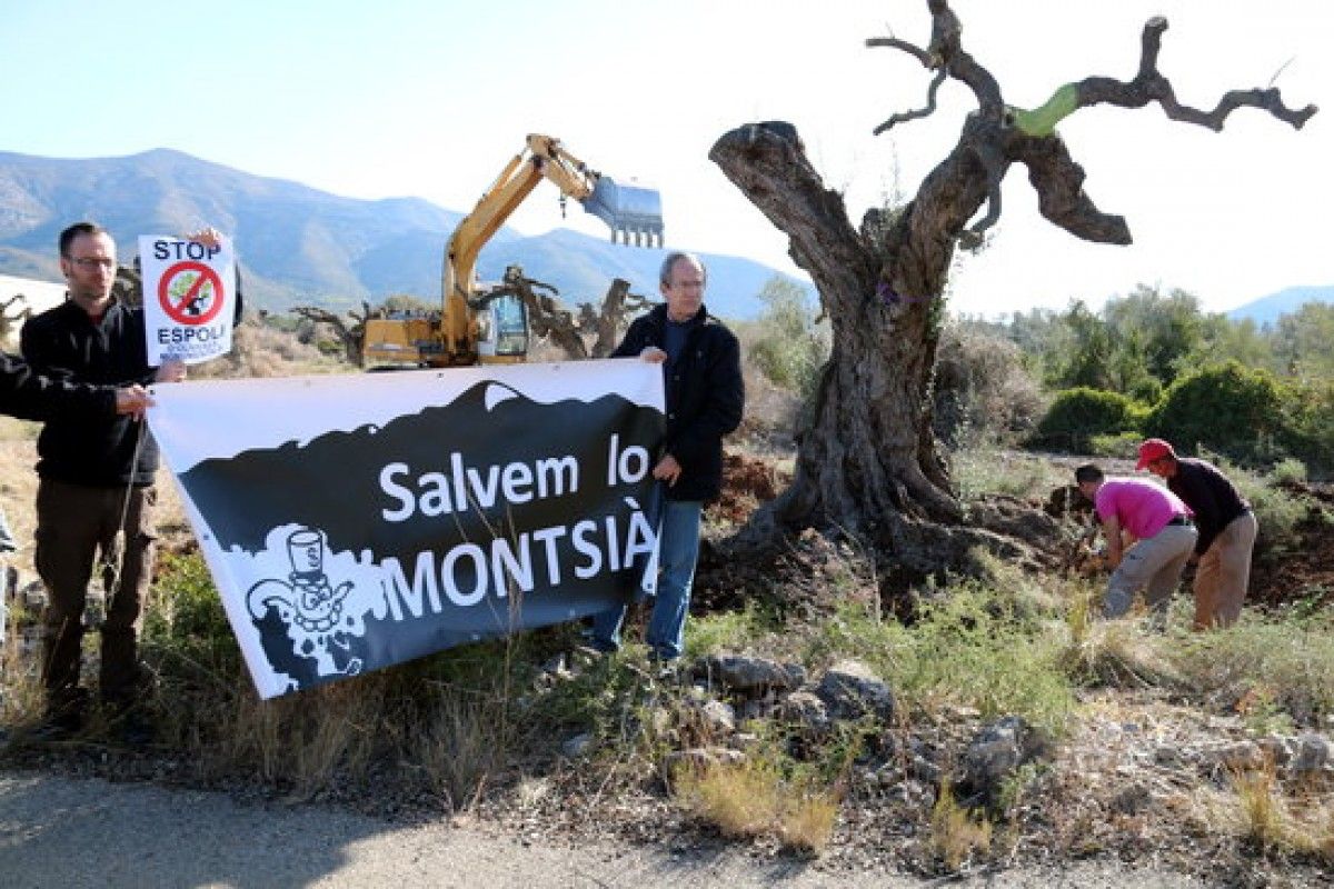 Dos membres de la plataforma Salvem lo Montsià amb una pancarta al costat de dos operaris que treballen arrencant una olivera monumental de la finca que té a Ulldecona Cultius Ponç