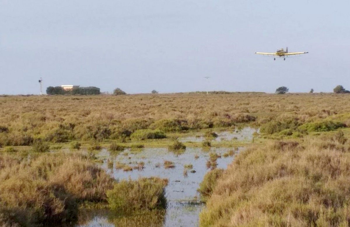 Avioneta del COPATE amb el tractament contra el mosquit als arrossars del Delta