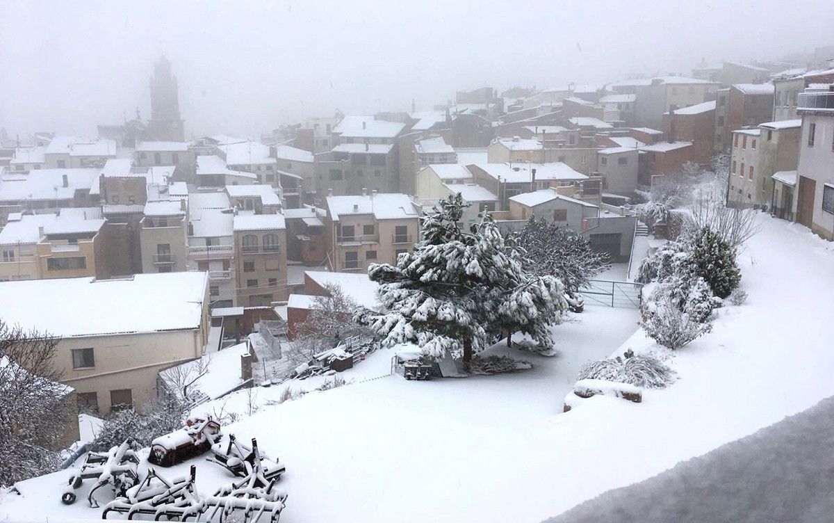 Imatge de l'última nevada a la Fatarella.