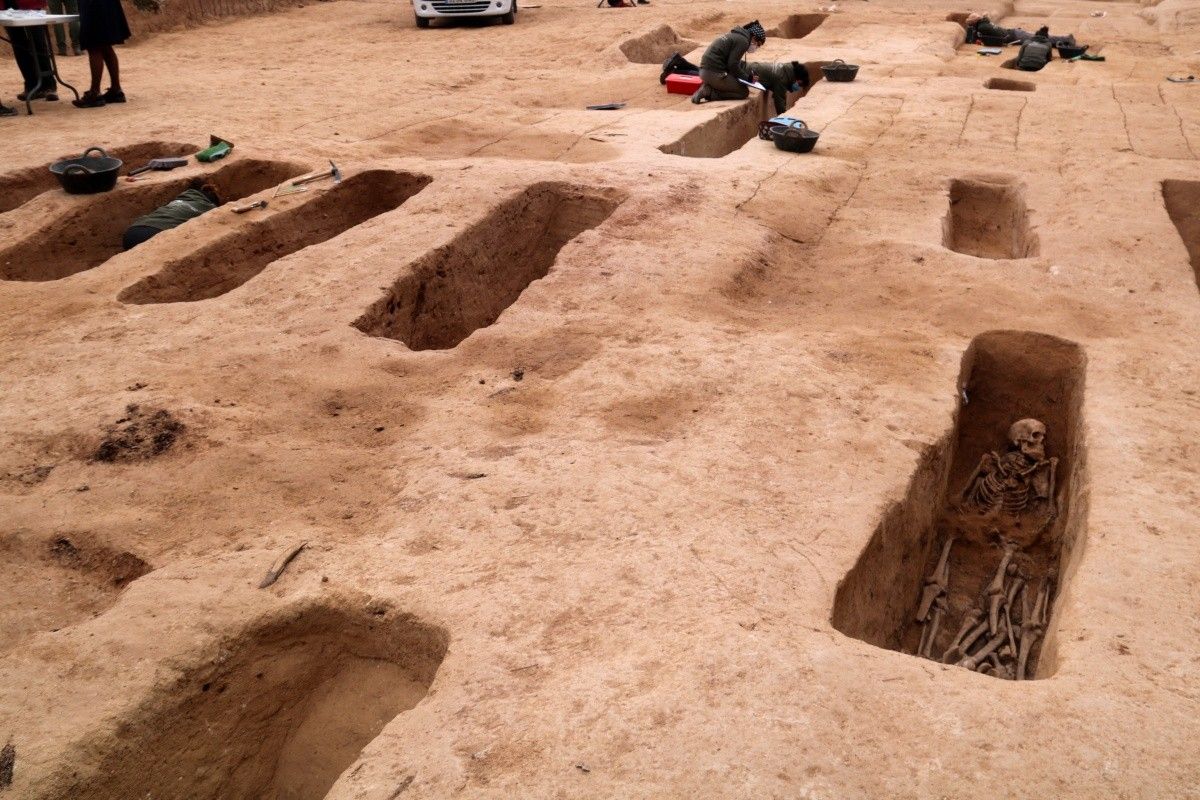 Diverses fosses obertes de la batalla de l'Ebre amb arqueòlegs treballant al Mas de Santa Magdalena, a Móra d'Ebre, al febrer.