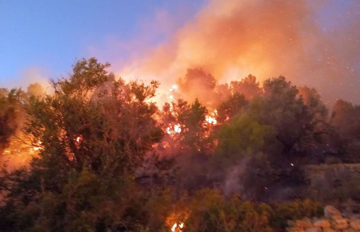 Flames per sobre d'uns arbres fotografiades pels Bombers de la Generalitat en un incendi de vegetació forestal a Tortosa.