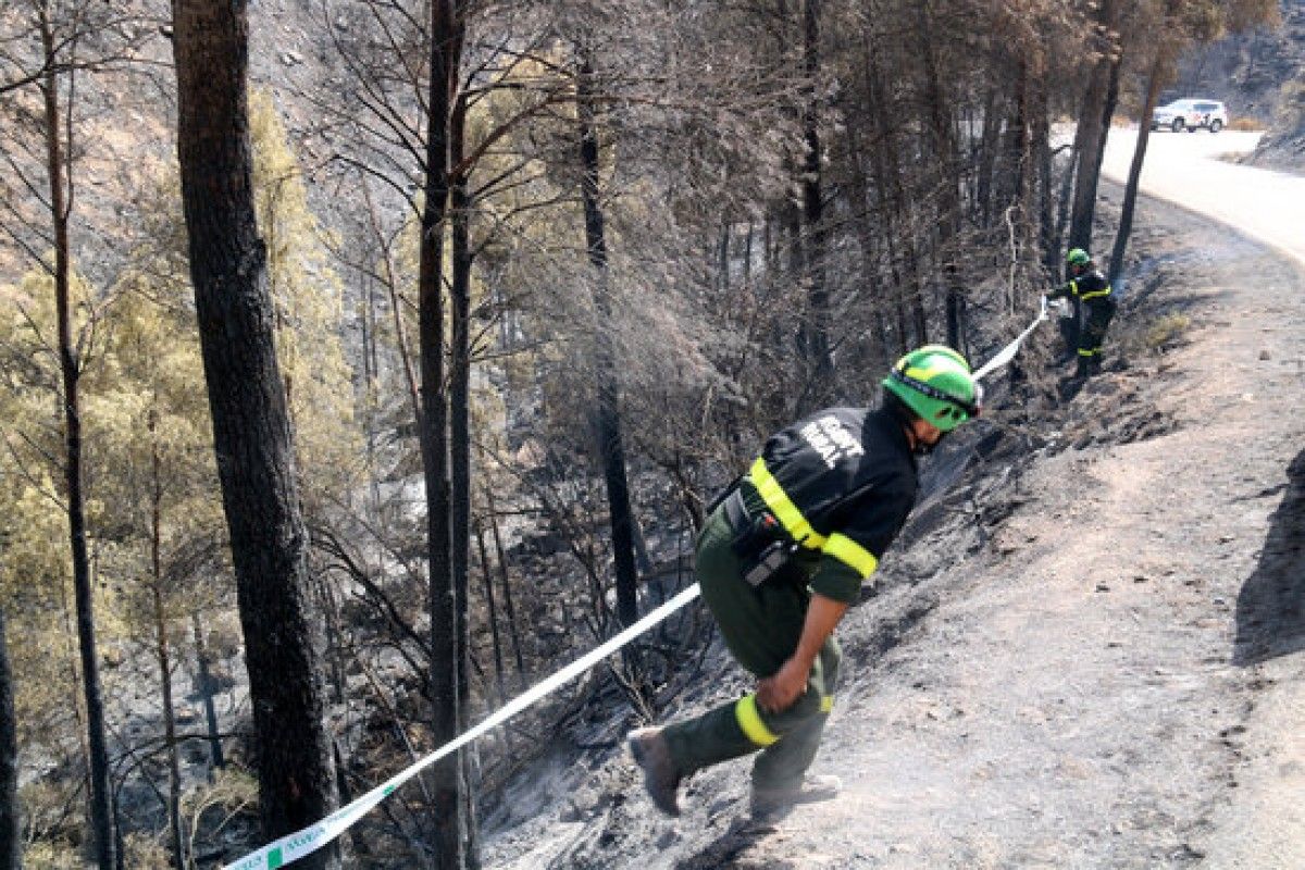 Pla general de dos agents rurals treballant en una de les zones cremades de l'incendi de la Pobla de Massaluca.