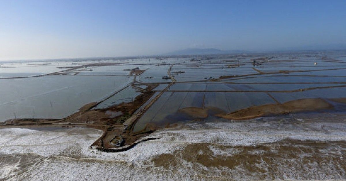 Camps d'arròs del Delta de l'Ebre afectats per les inundacions del Temporal Glòria 