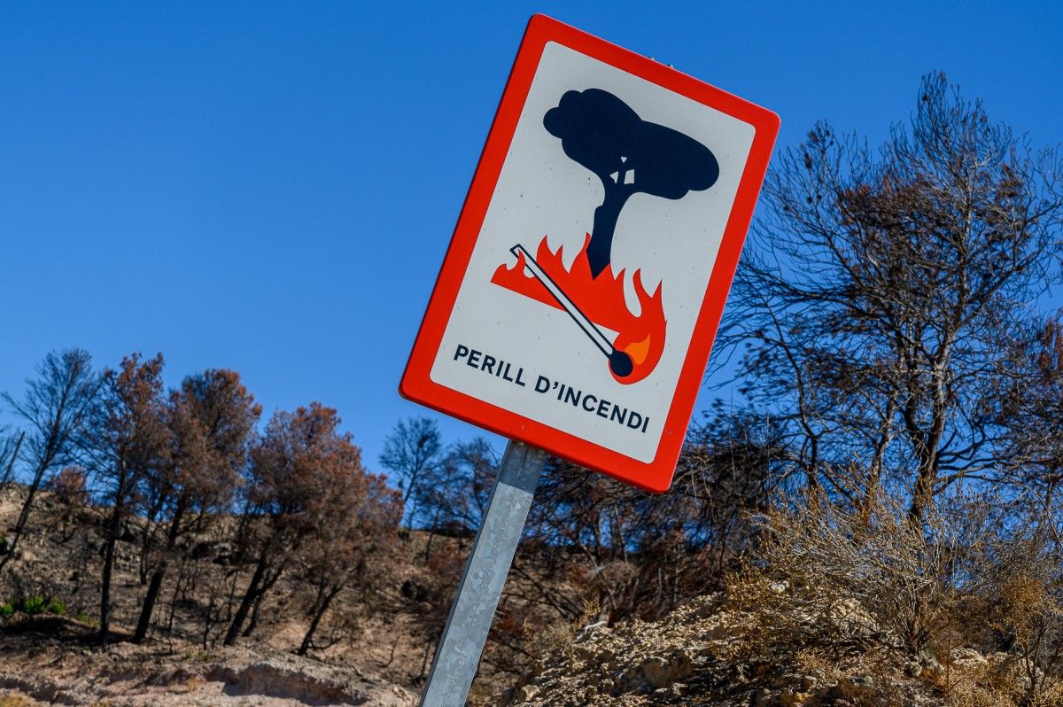 L'incendi de la Ribera d'Ebre va cremar 5.050 hectàrees