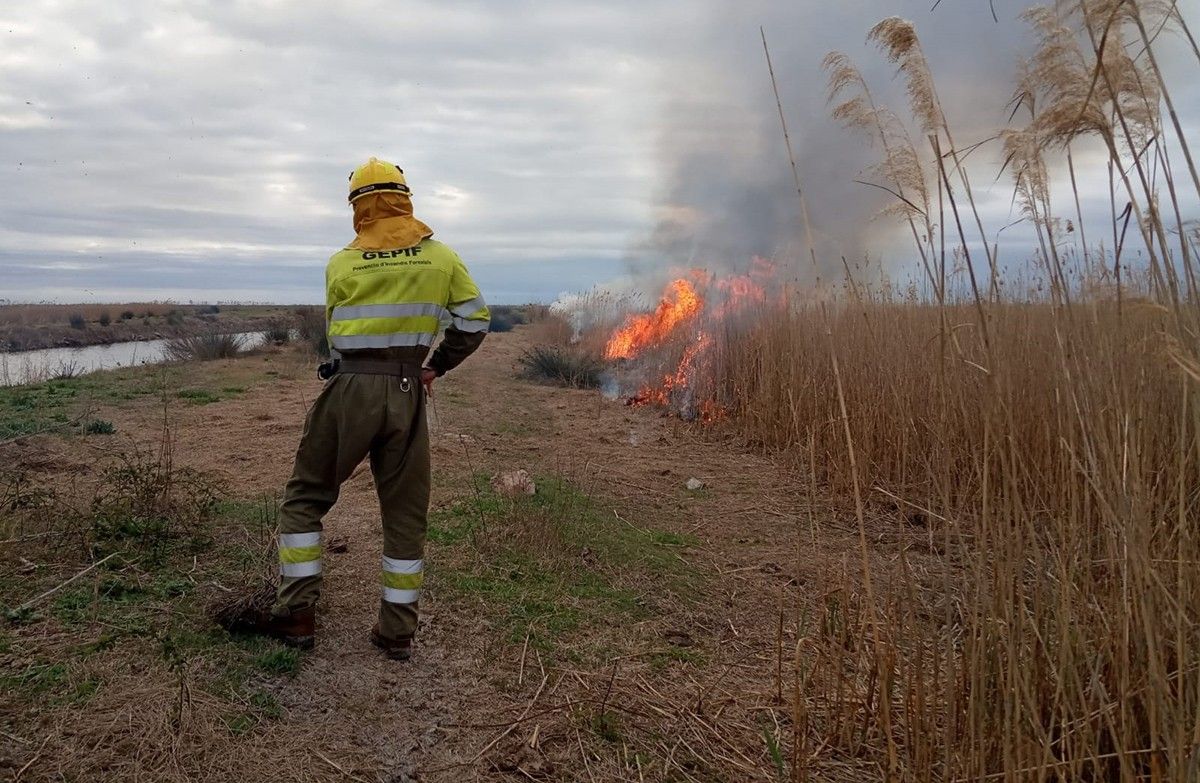 Cremes controlades de senill al Parc Natural del Delta de l'Ebre