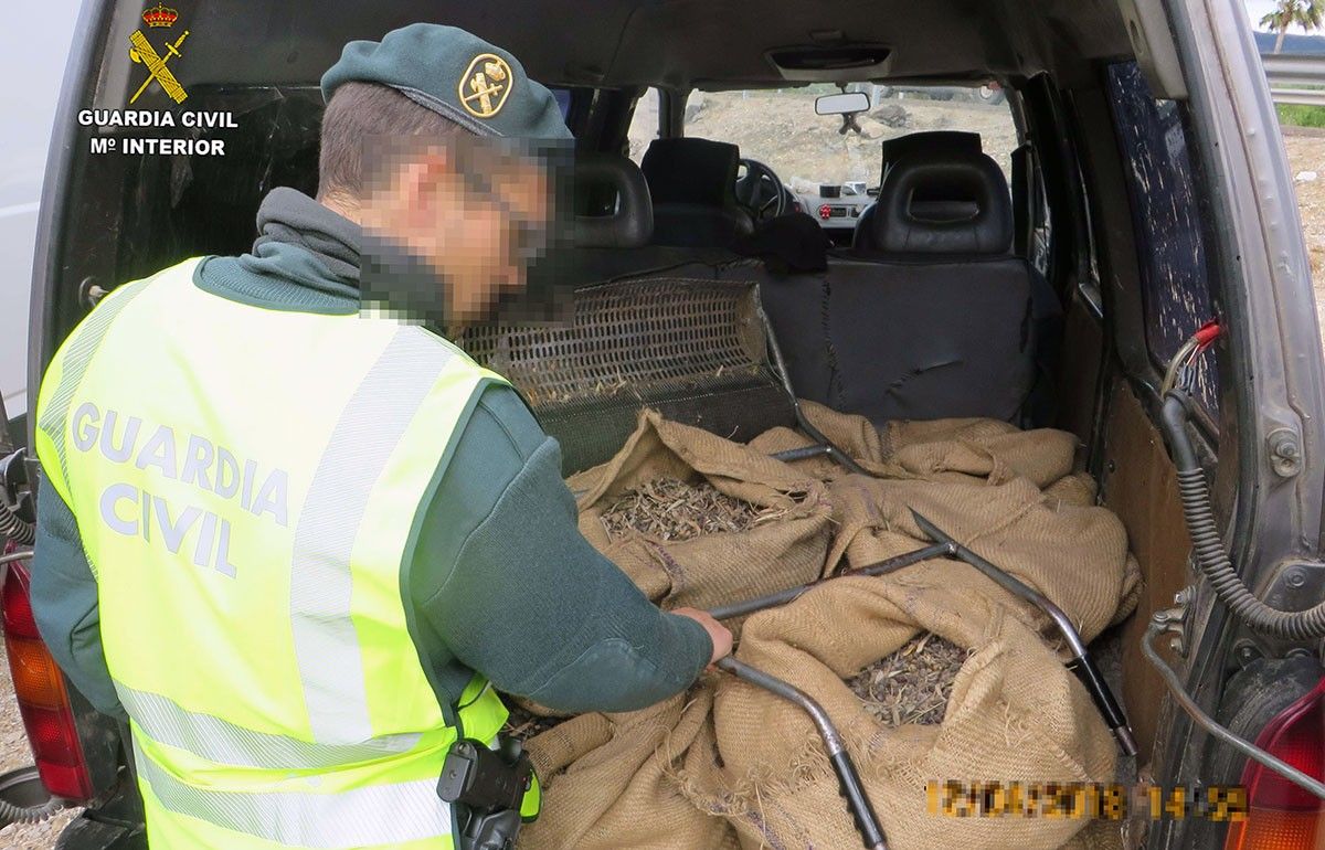 Un dels agents, amb la furgoneta carregada amb els sacs d'olives.