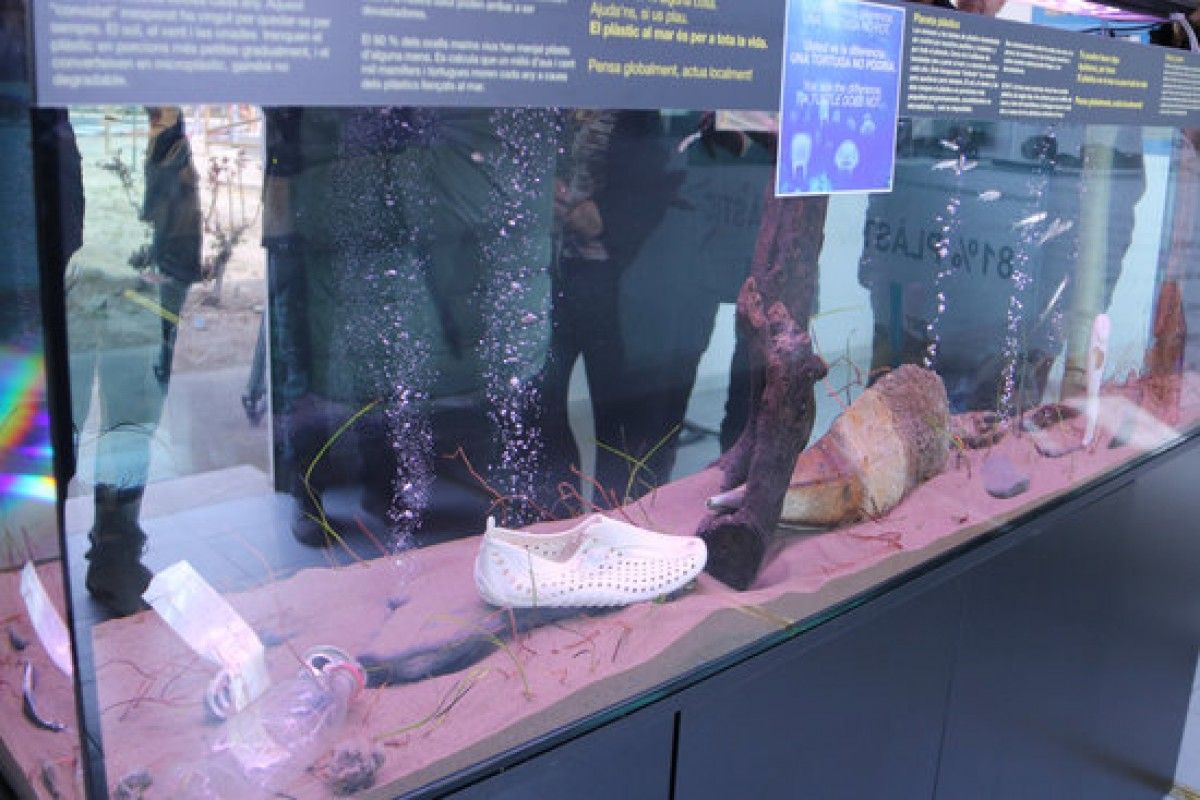 Una exposició a la Casa de Fusta mostra el problema de la brossa marina al Delta de l'Ebre