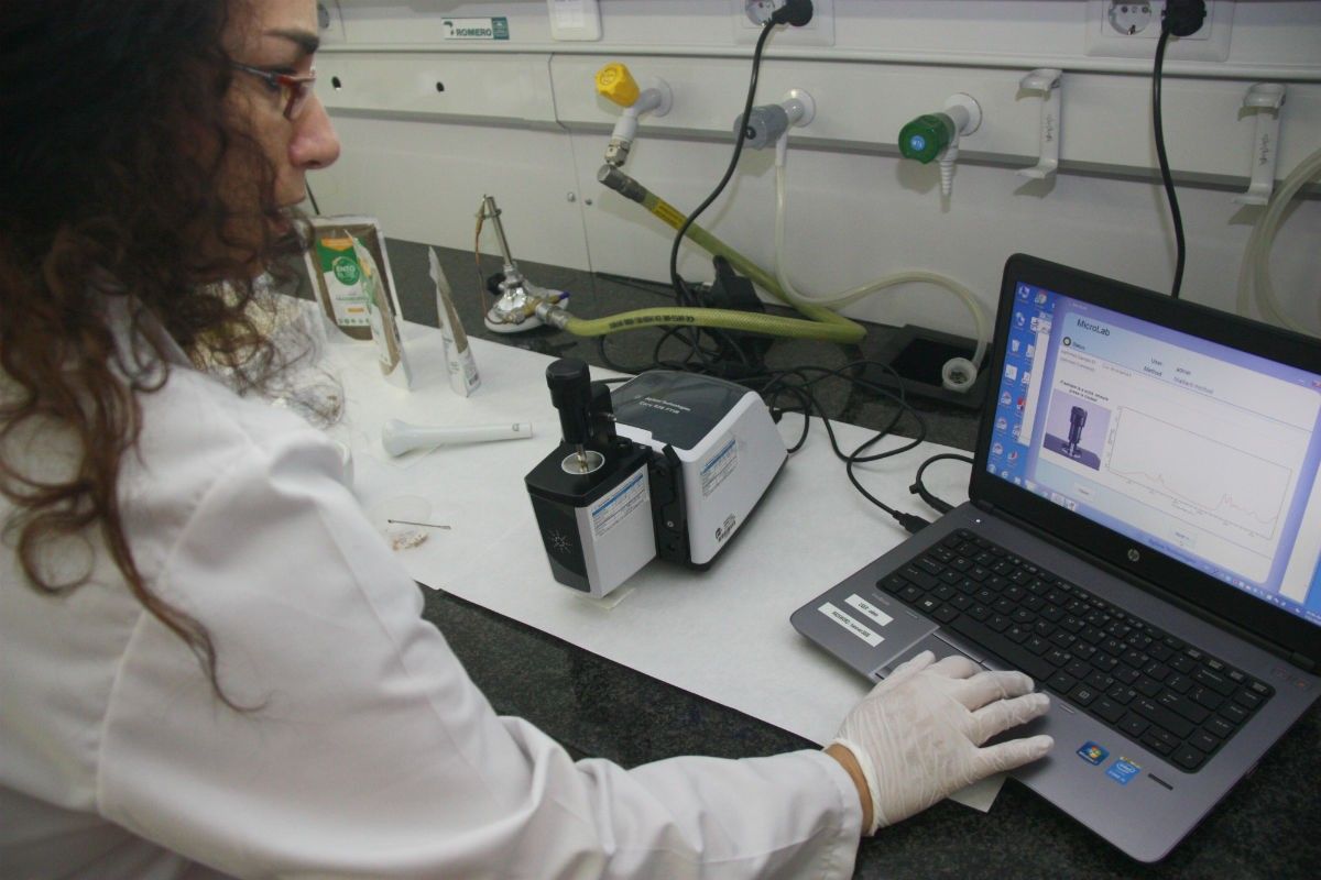 Sílvia de Lamo analitzant amb l'ordinador la composició química d'un insecte. 