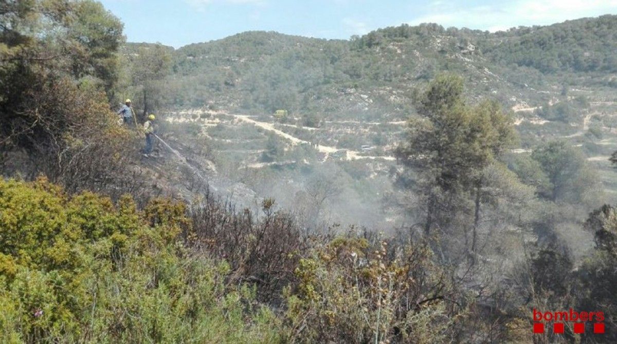 Imatge de l'incendi, que ha afectat una zona boscosa del terme de Batea
