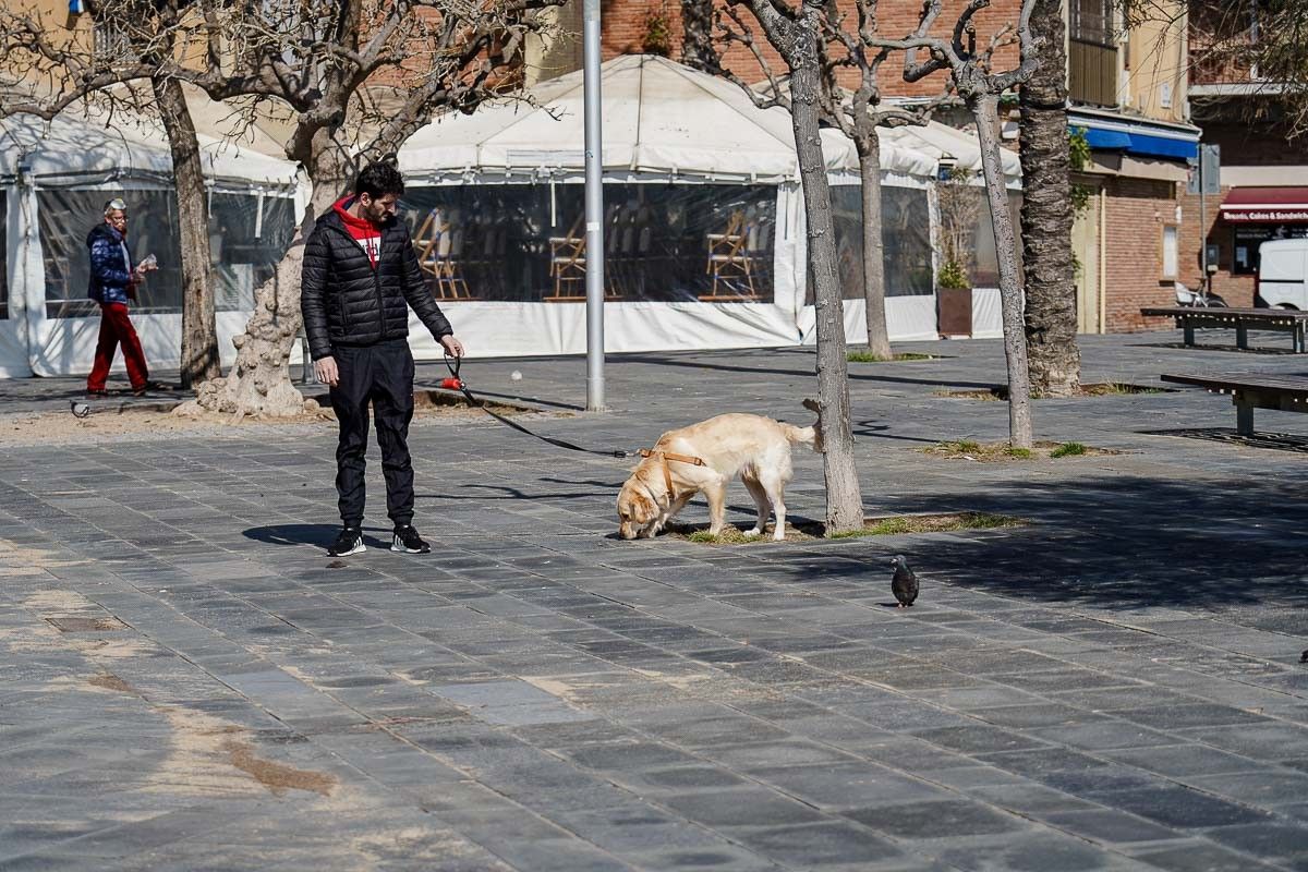 Un home passeja un gos a Barcelona, durant el confinament