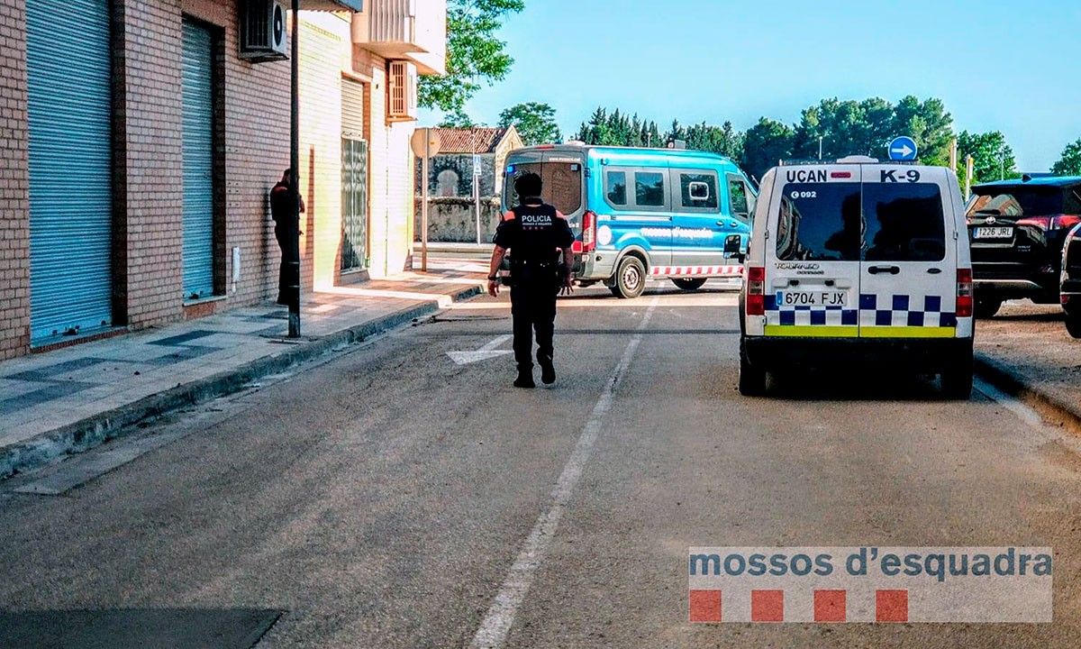 Agents de policia vigilant la zona del barri de Ferreries de Tortosa on s'ha fet l'actuació.