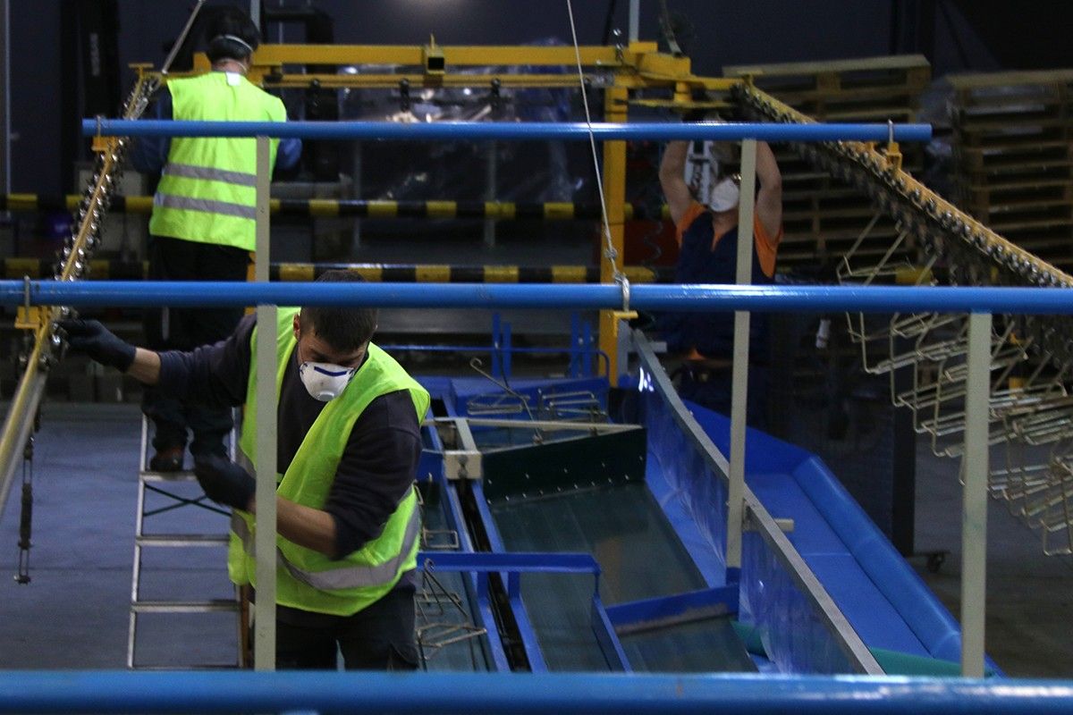 Operaris de Soldebre durant la instal·lació de la quarta línia de confecció manual al magatzem de cítrics de la Cooperativa