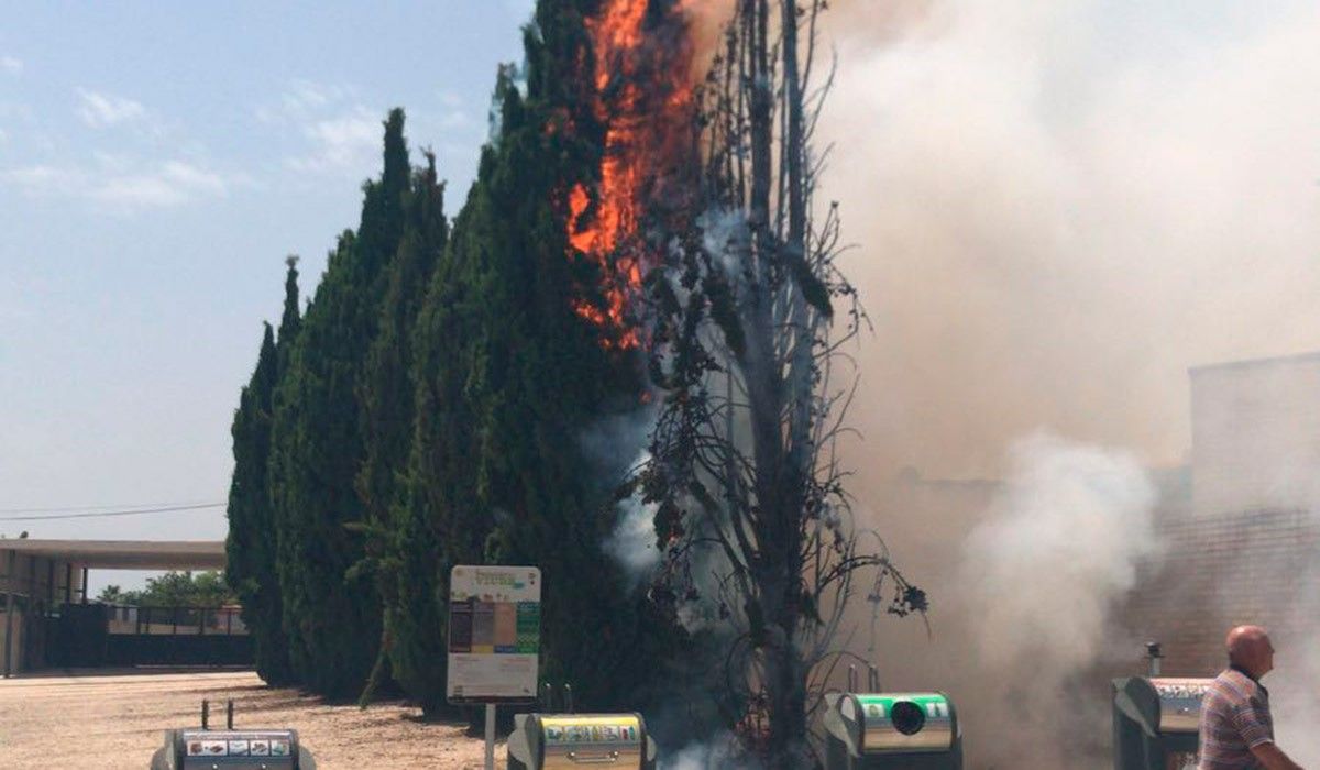 Imatge de l'incendi a les Cases d'Alcanar