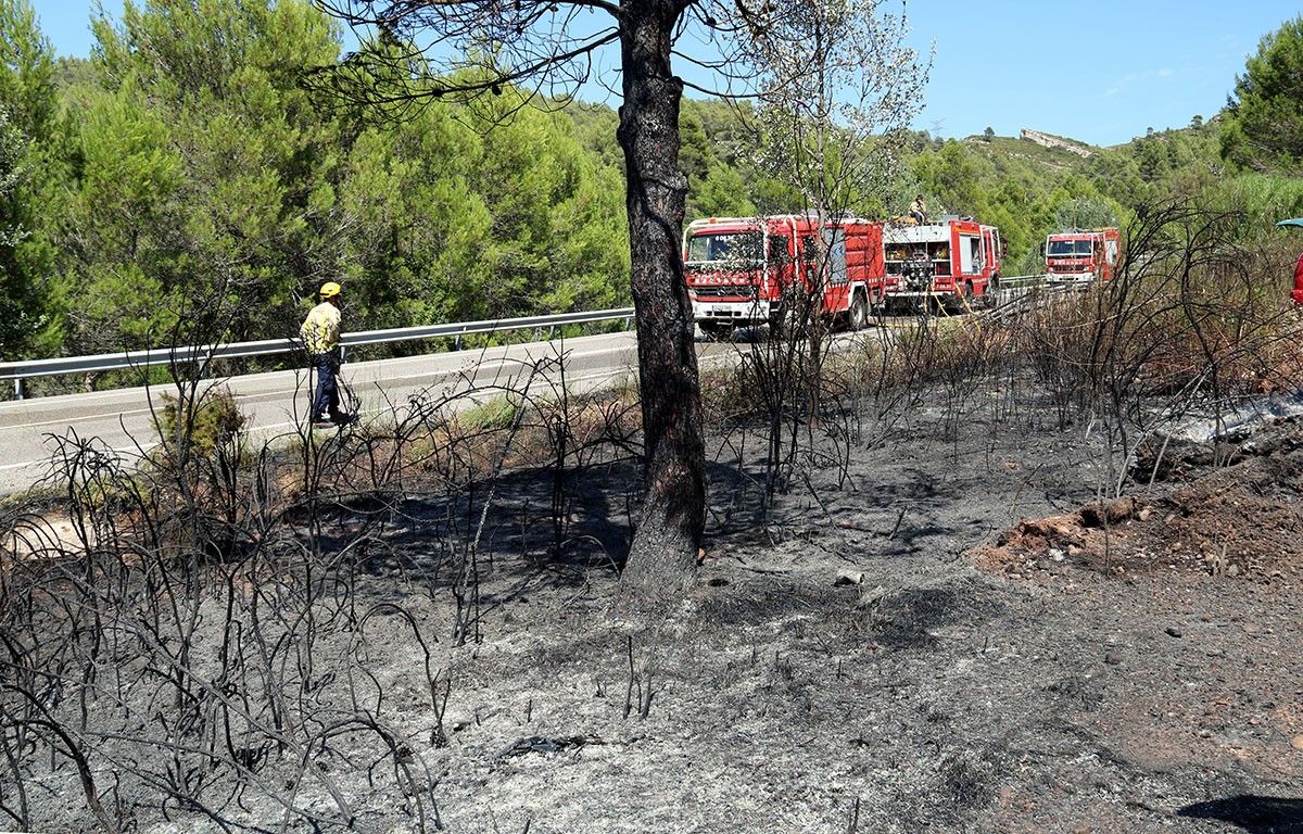 Un bomber es passeja prop de la zona on ha començat l'incendi de Tivissa, a la carretera C-44, davant d'alguns camions.