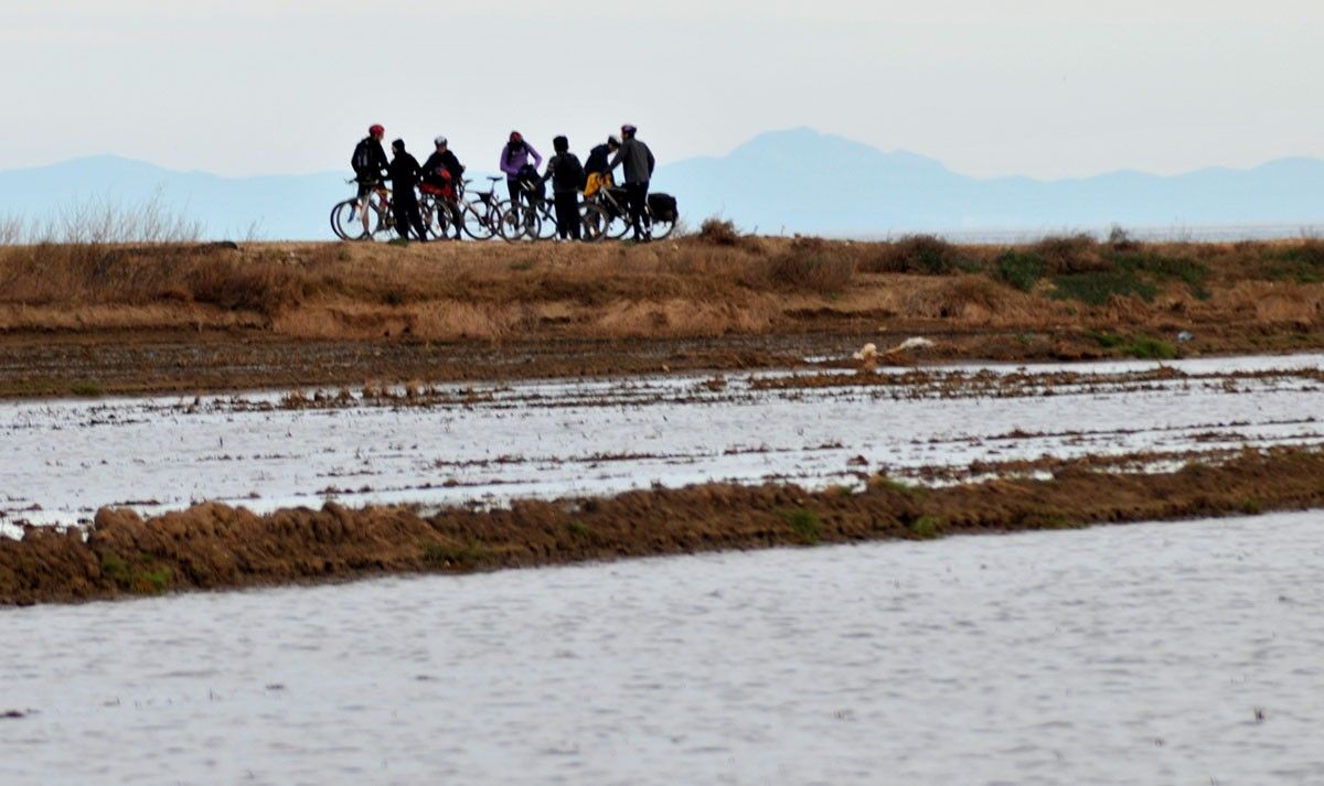 Un grup de ciclistes al Delta de l'Ebre.