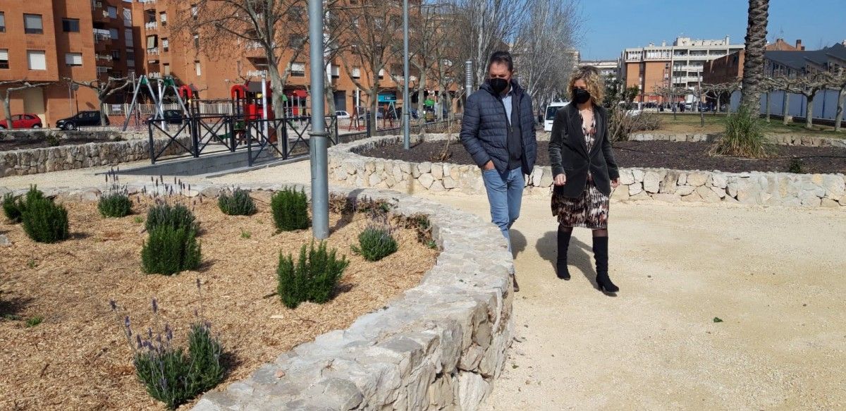 Actuació en la renovació de la vegetació del Passeig Jaume I al barri del Temple, a Tortosa 