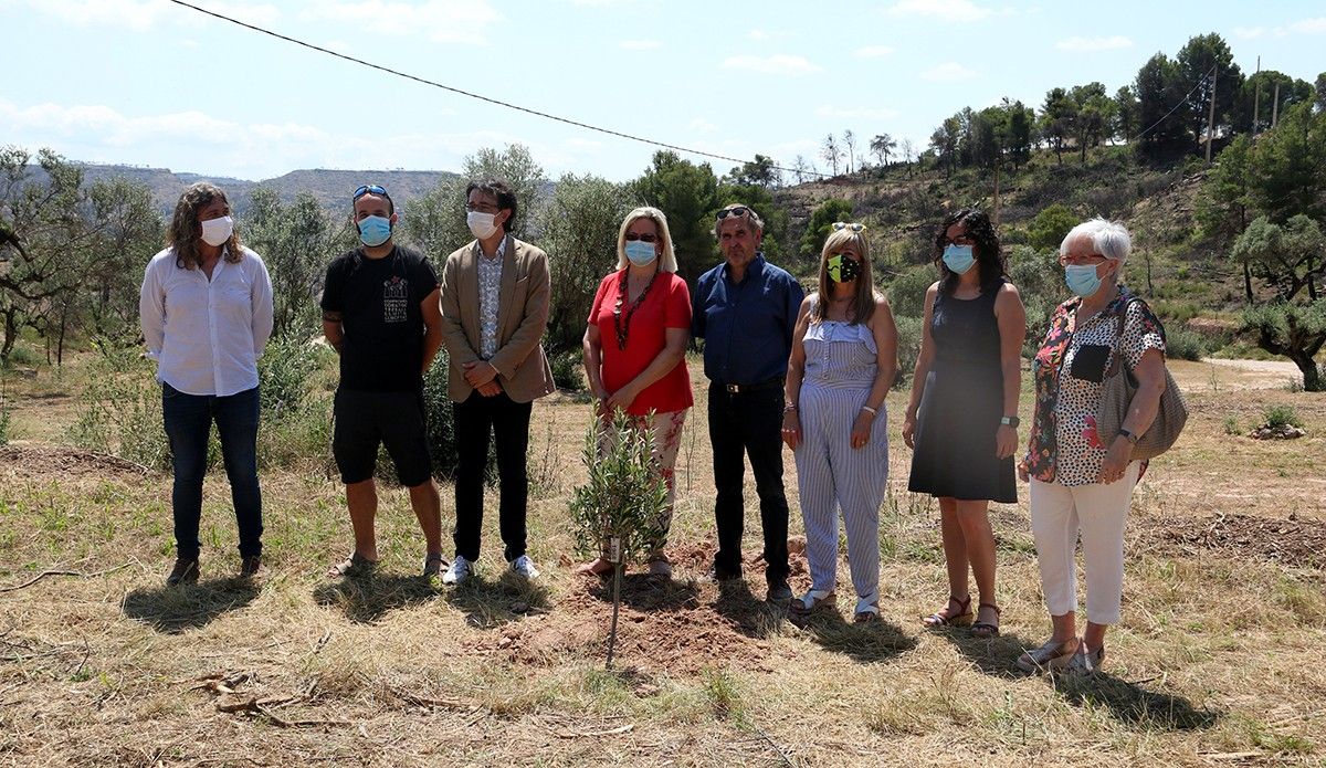 Els vuit alcaldes afectats per l'incendi de la Ribera d'Ebre davant d'unes de les oliveres plantades en l'acte de commemoració del primer aniversari de l'incendi de la Ribera d'Ebre