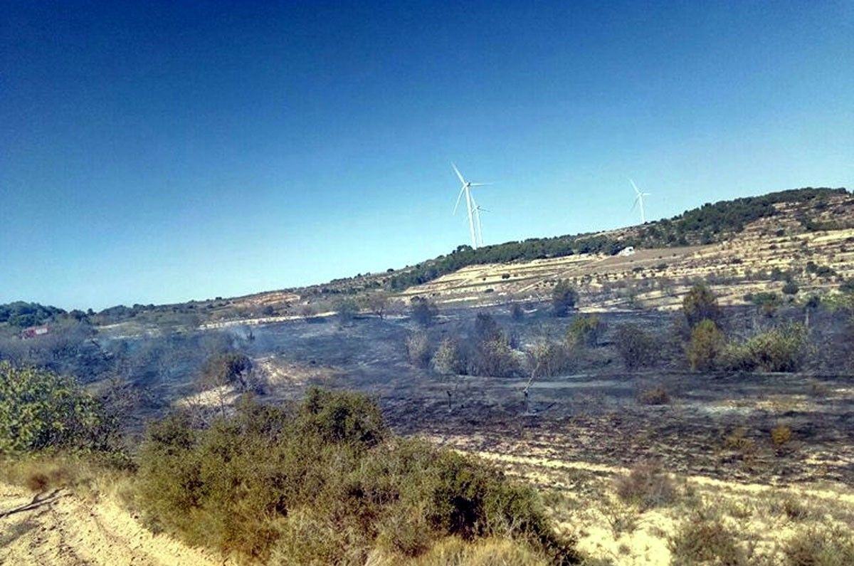 La zona de Mas Vidal afectada per l'incendi d'aquest matí.
