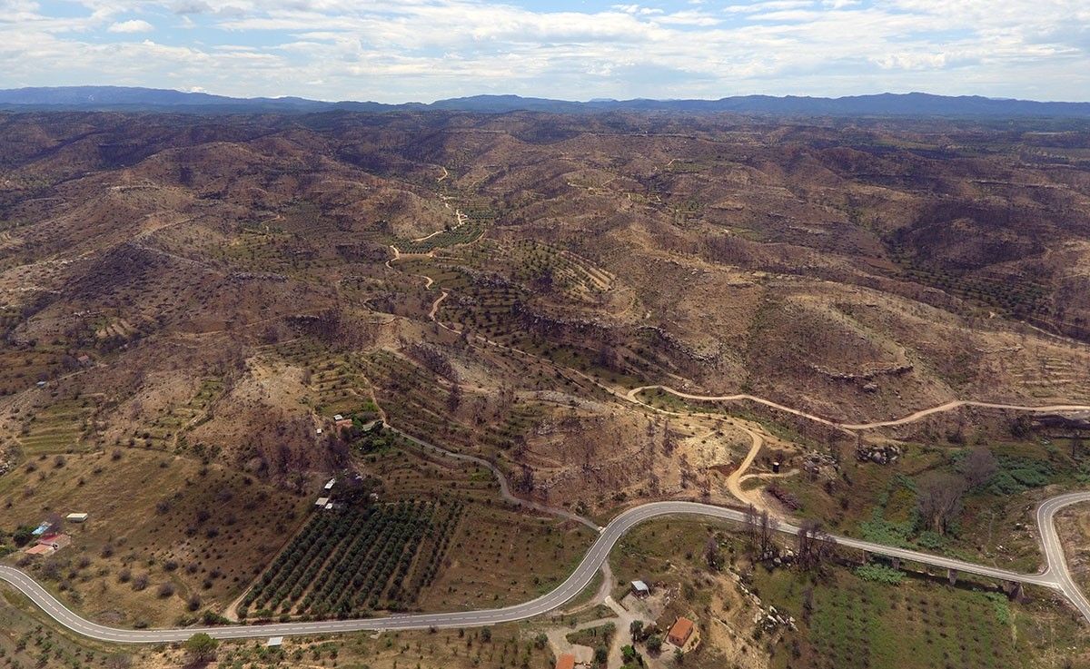 Imatge aèria captada amb dron on es pot veure una zona afectada per l'incendi de la Ribera d'Ebre un any després del foc.