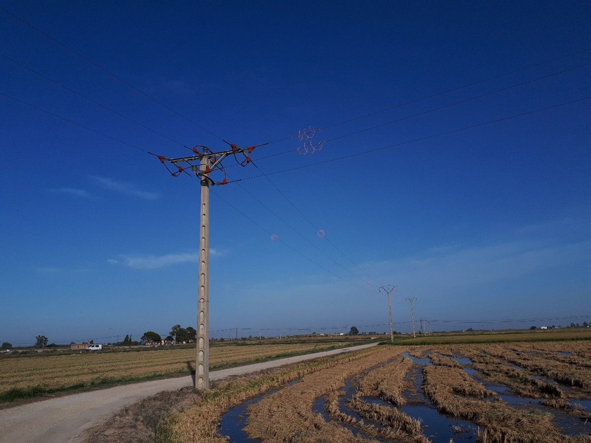 Una de les torres elèctriques protegides, al Parc Natural del Delta de l'Ebre.