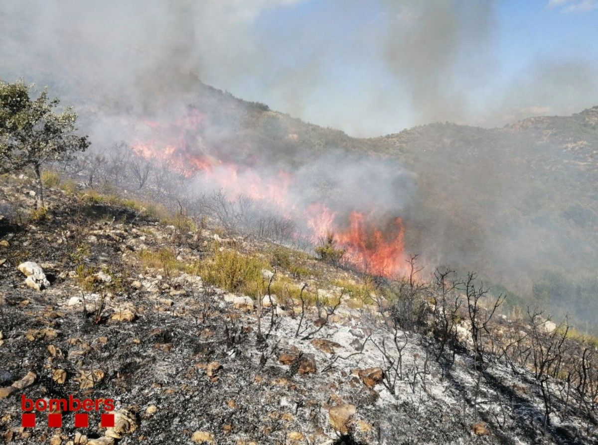 Incendi de vegetació a Amposta, a la serra del Montsià.