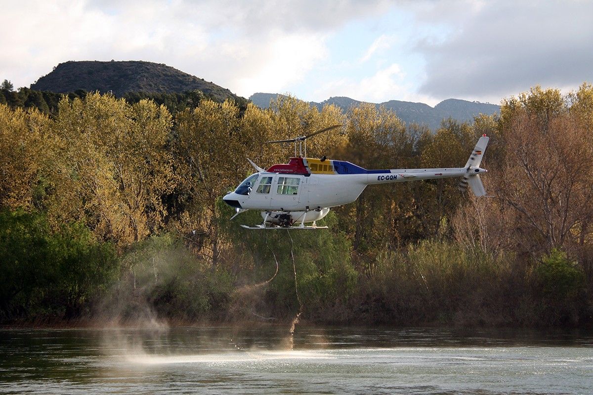 Un helicòpter buidant la càrrega d'insecticida biològica BTI contra la mosca negra al riu Ebre, a l'alçada de l'assut de Xerta.