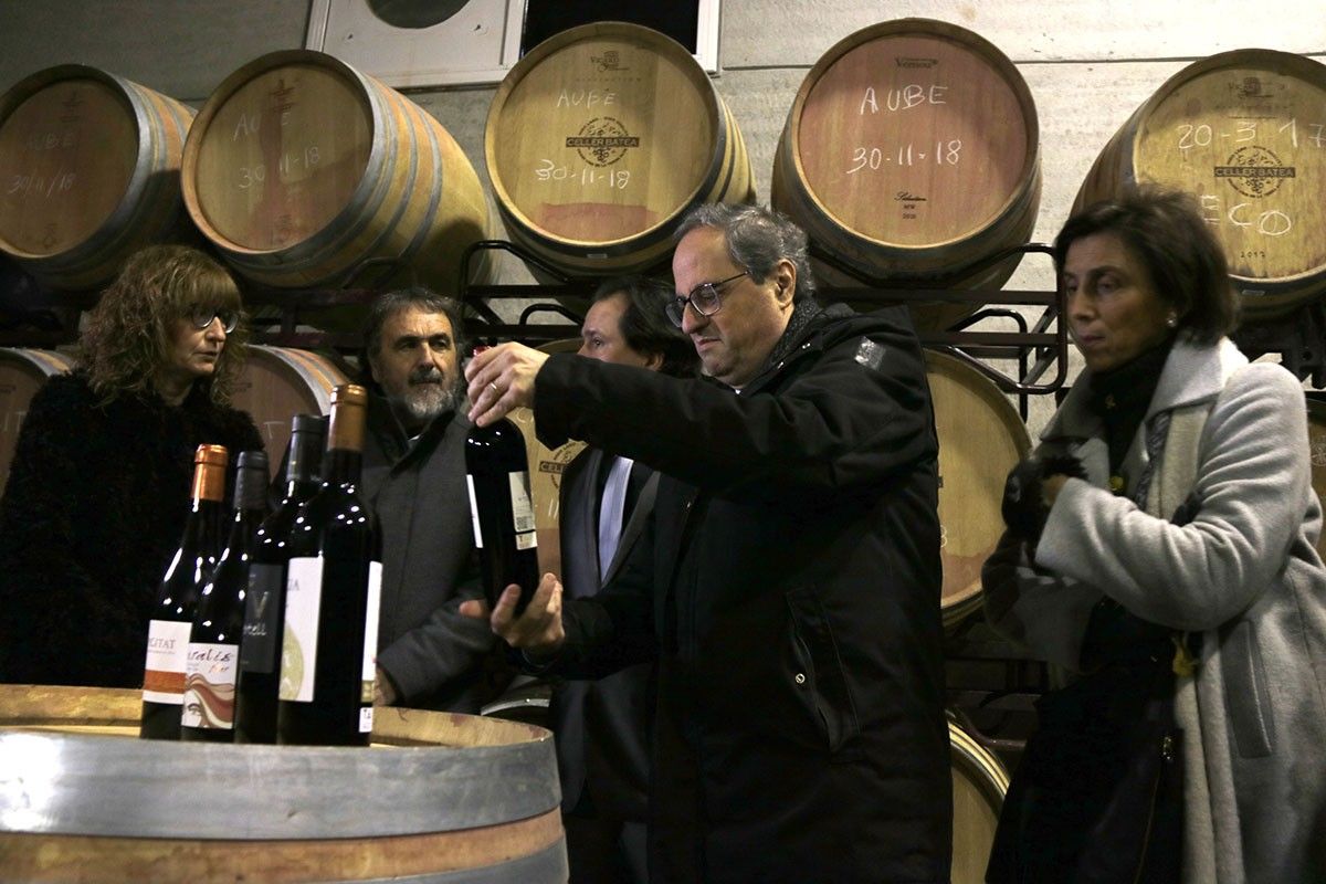 El president de la Generalitat, Quim Torra, observant els vins que produeix la Cooperativa Agrícola de Batea a les instal·lacions ampliades. 
