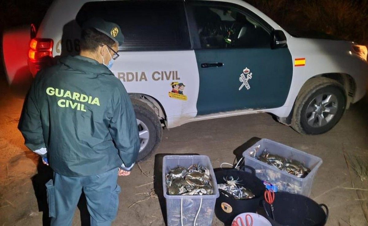 Caixes amb els crancs intervinguts per la Guàrdia Civil