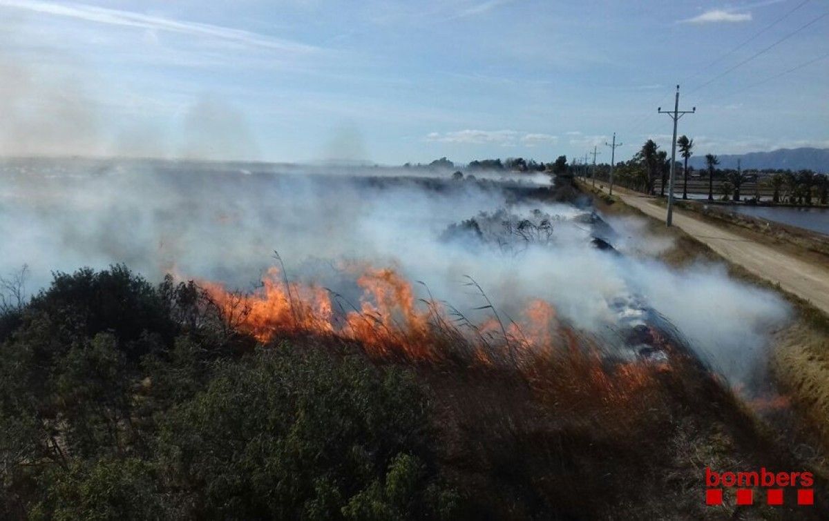 El foc de vegetació declarat este dilluns a la Platjola,