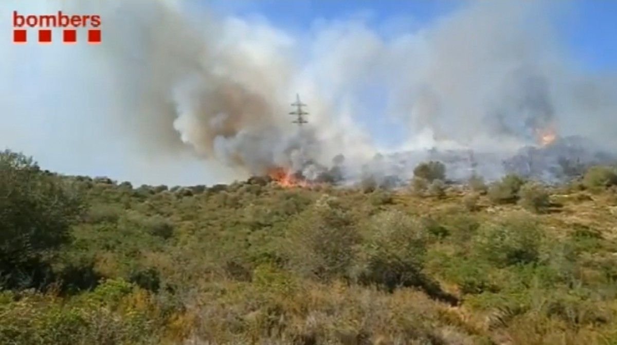 Incendi a un camp abandonat de Freginals, al Montsià