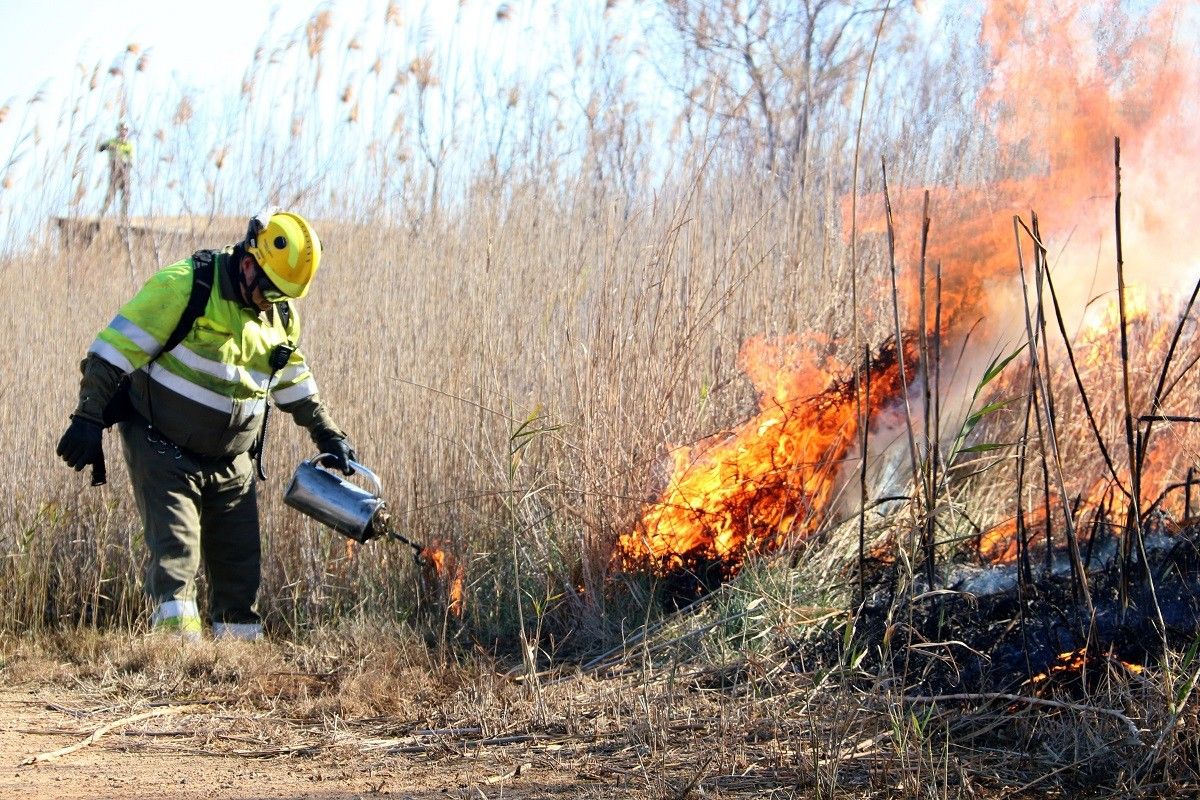 El GEPIF i els Agents Rurals han treballat de forma conjunta en els incendis controlats.