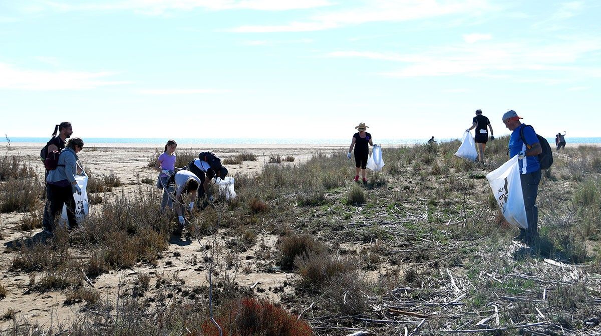 Voluntaris que han participat en la jornada de neteja d'una de les platges del Delta.