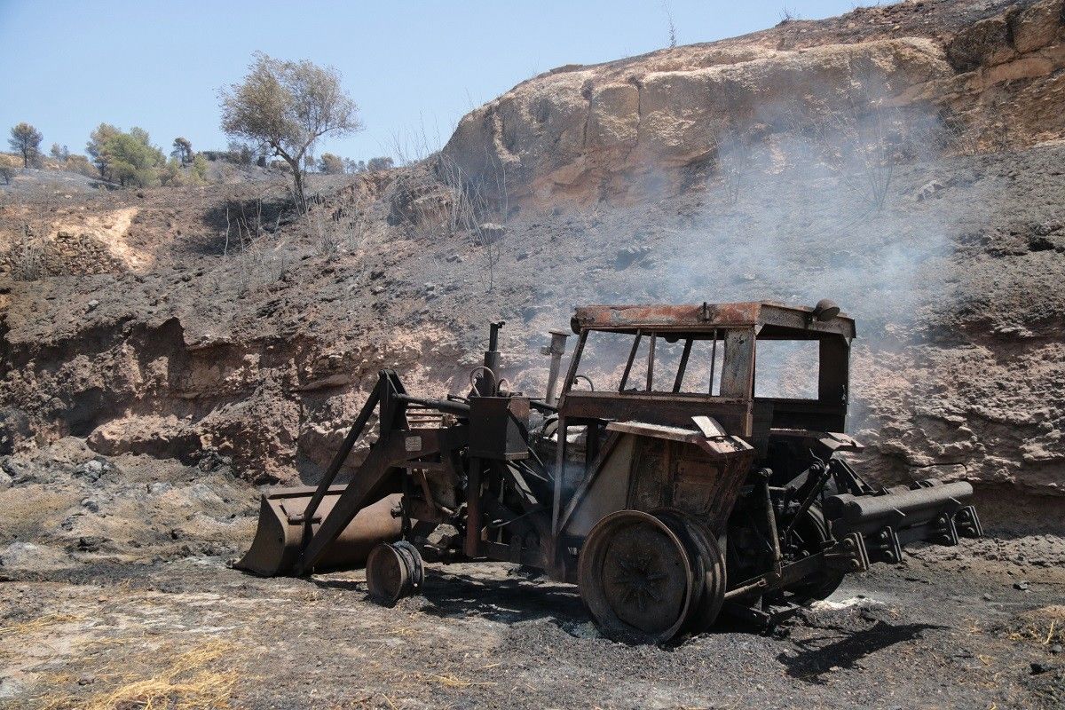 Imatge d'una de les zones cremades per l'incendi