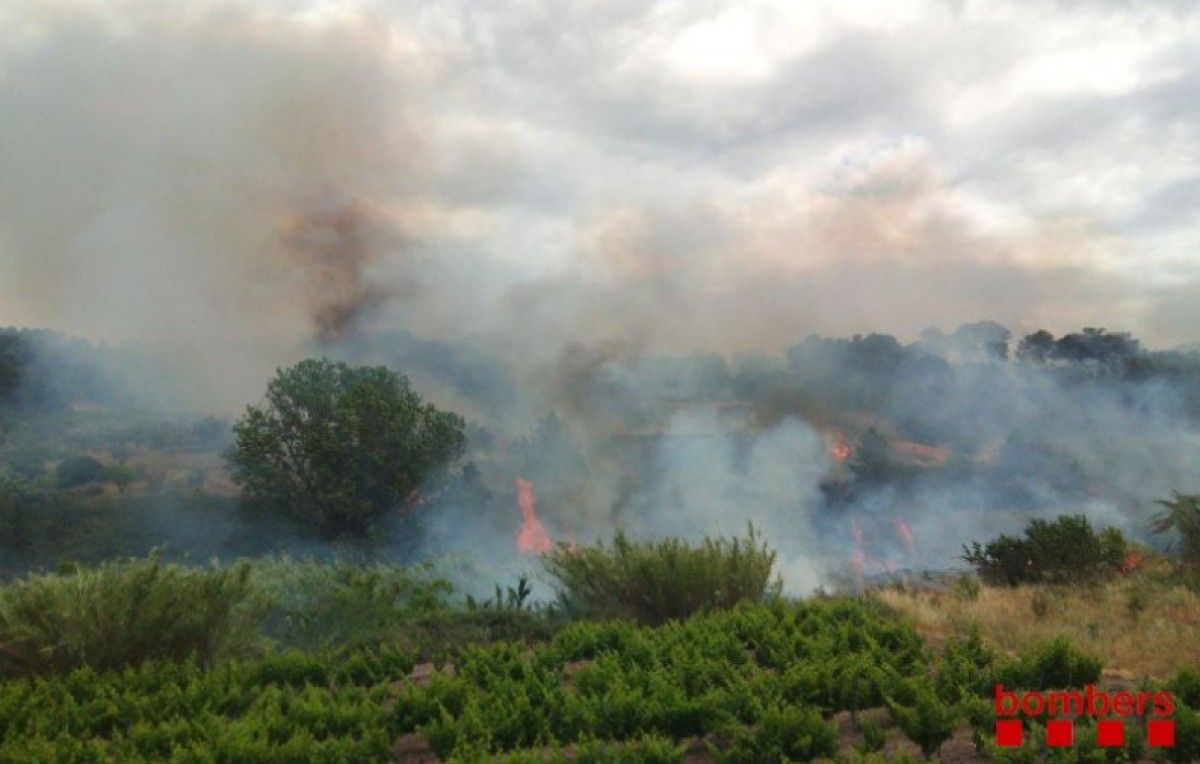El barranc que ha cremat esta tarde, a Corbera d'Ebre.