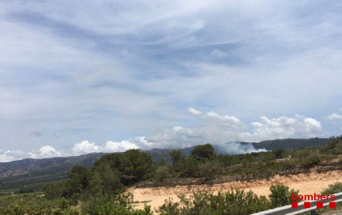 Imatge publicada pels Bombers de la columna de fum de l'incendi declarat entre Tivissa i Rasquera.