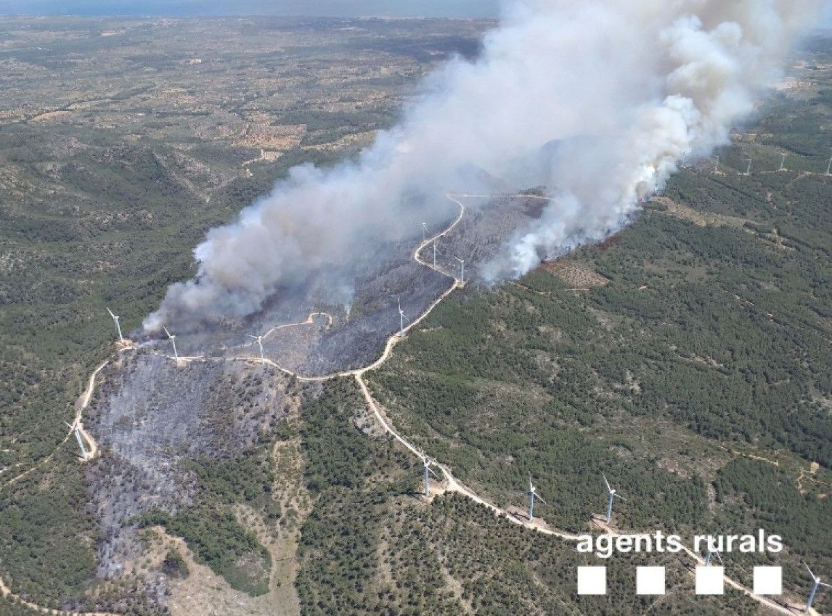L'incendi ha afectat a la zona de la Collada, al Perelló.