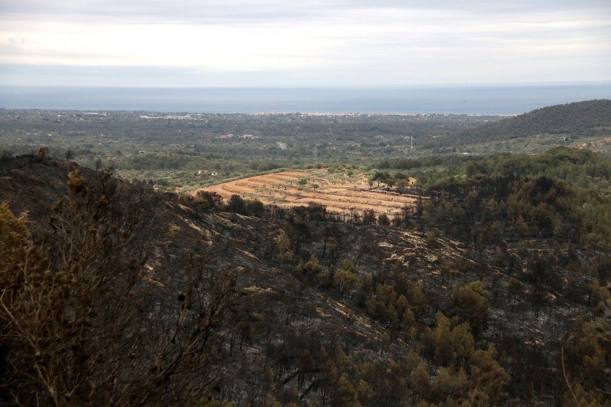 La zona de les Collades afectada per l'incendi forestal del Perelló, amb el nucli de l'Ametlla de Mar al fons.