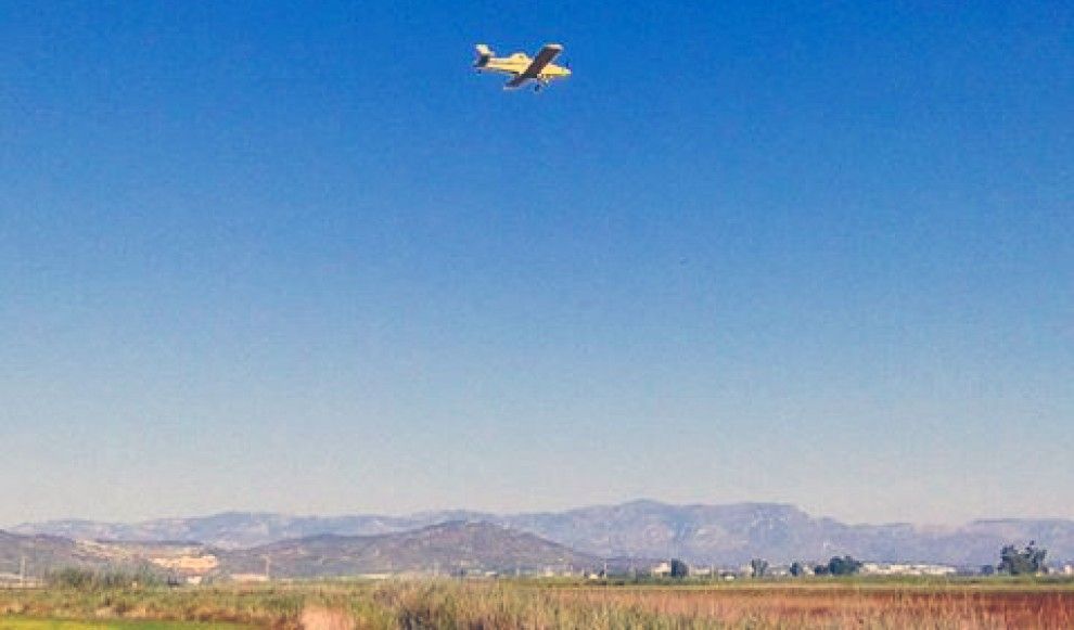Una avioneta sobrevolant els arrossars del delta.