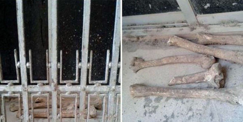 Imatge dels ossos dipositats a la finestra del carrer Àfrica.