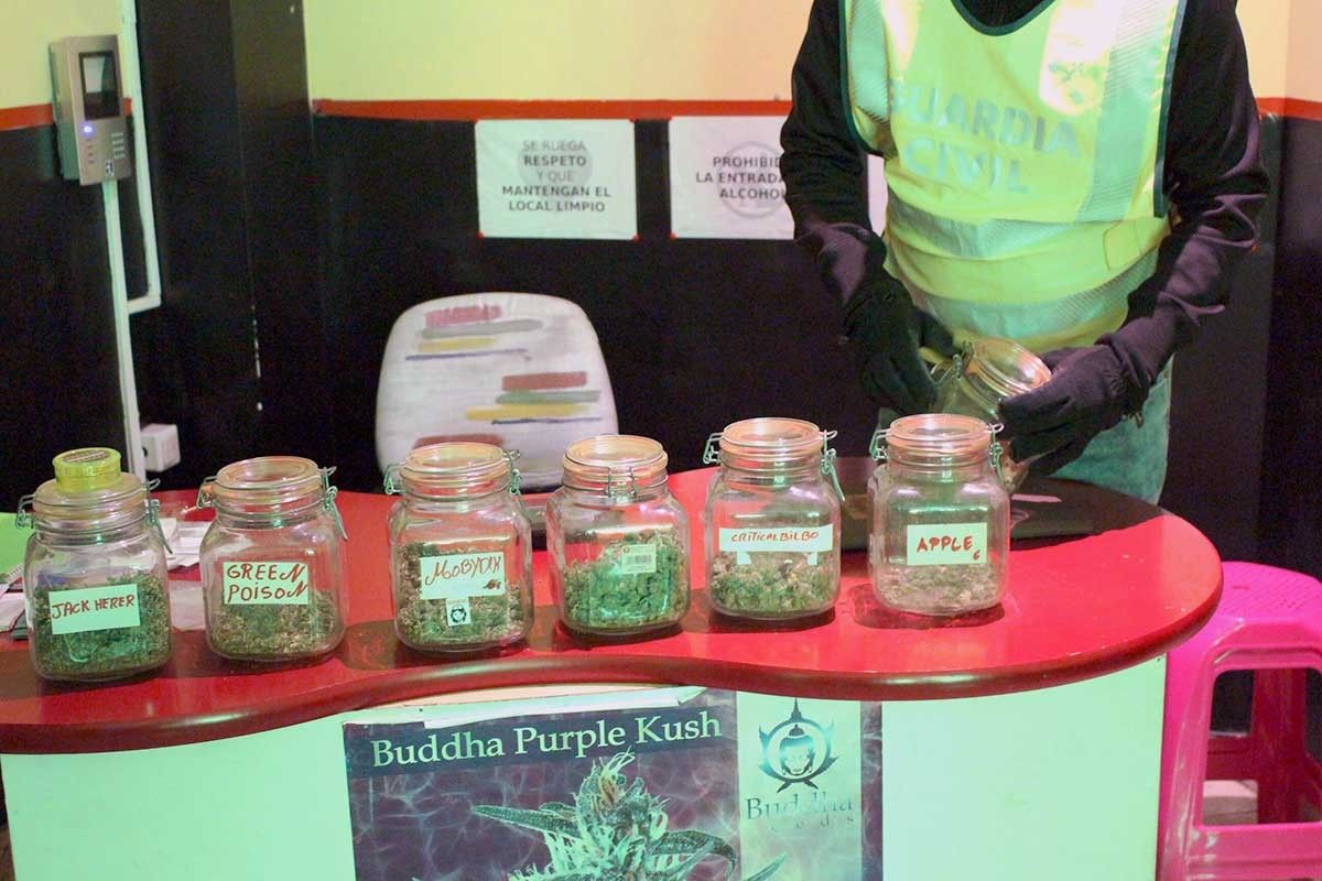 Entre els efectes intervinguts hi ha brots de marihuana preparada per a la venda.