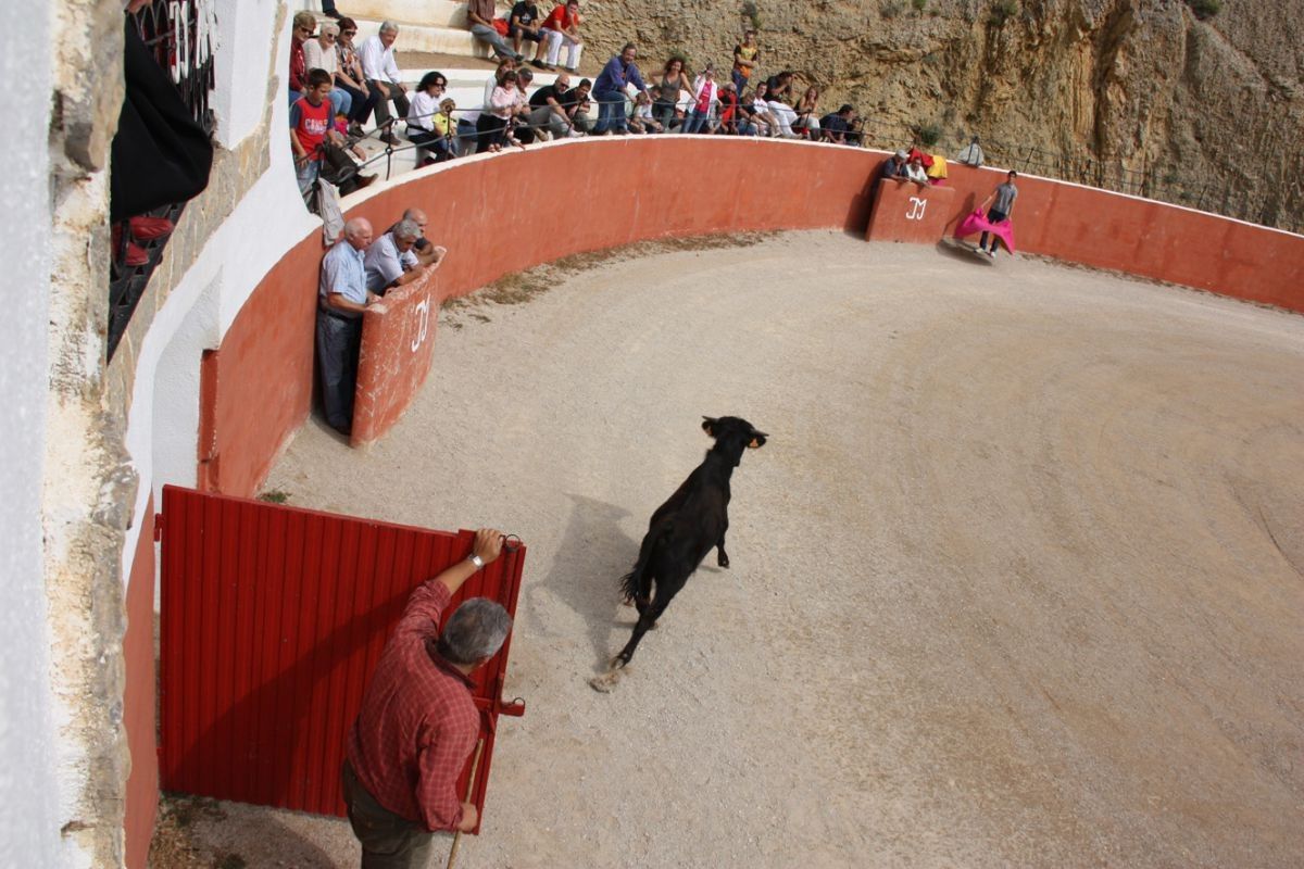 Imatges d'una capea, celebrada l'any 2010 a la ramaderia Mur d'Alfara de Carles, amb el torero Serafin Marín