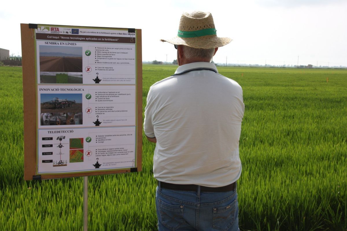 Un pagès llegeix un dels cartells informatius en la jornada sobre 10 anys d'assaigs de la fertilització orgànica al cultiu de l'arròs a Deltebre
