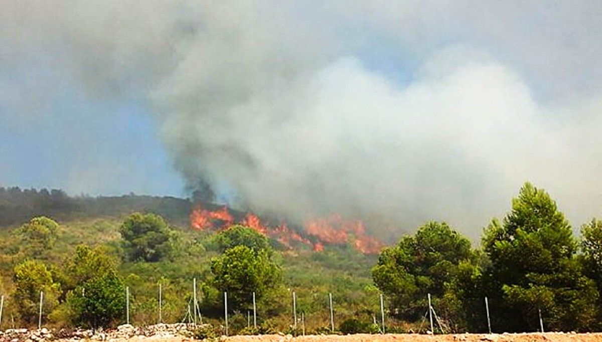 Una imatge de l'incendi de Calafell d'aquesta setmana