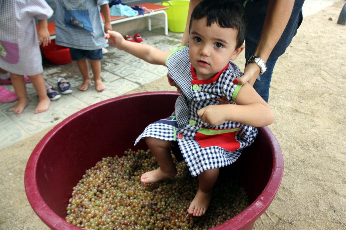 Un xiquet de la llar d'infants Lo Panilló de Gandesa salta sobre el raïm dins d'un cubell