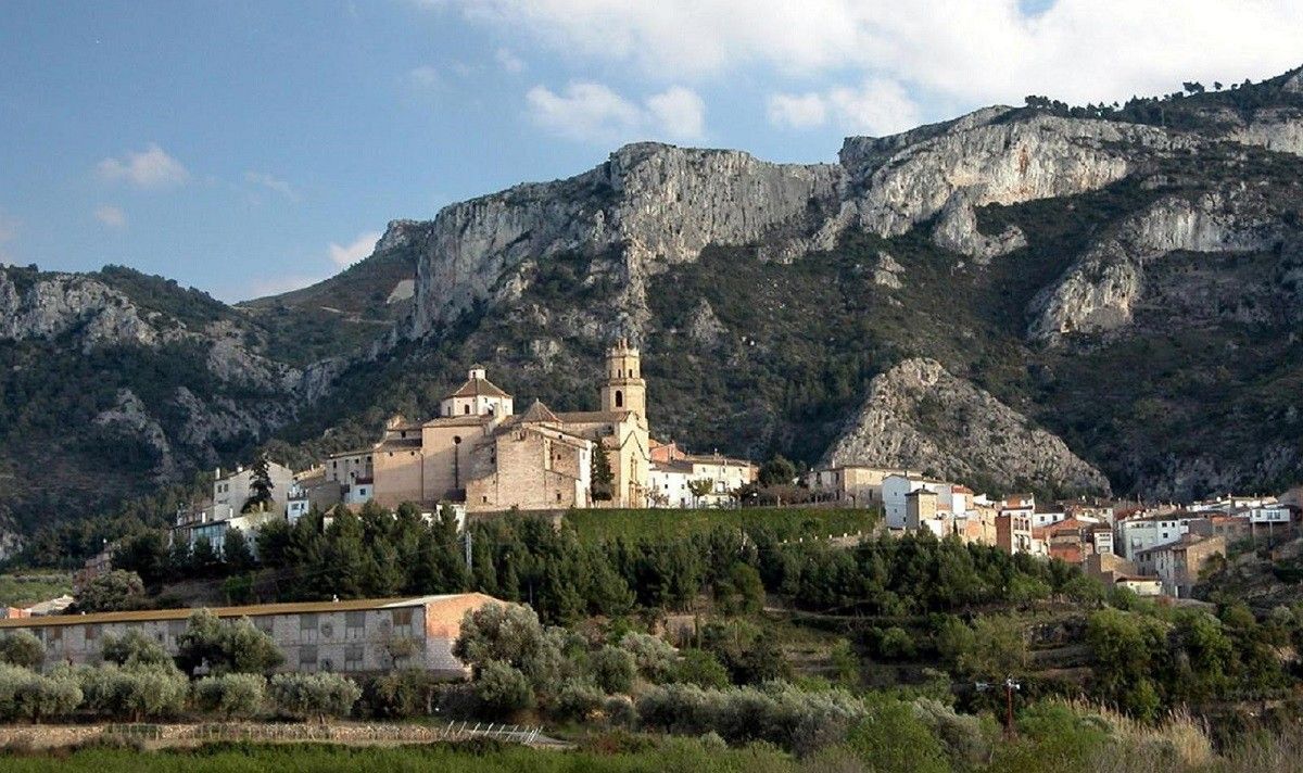 Imatge general del municipi de Tivissa