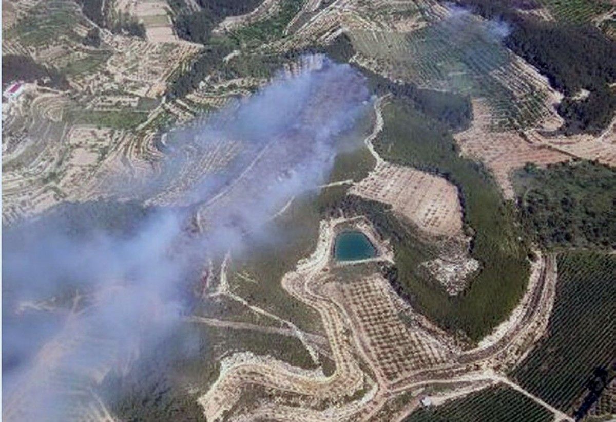 El foc ha cremat quatre hectàrees de vegetació forestal.